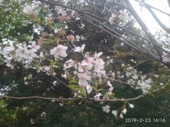 -南溪山景区