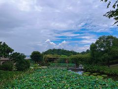 -广州莲花山旅游区