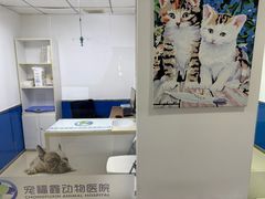 -宠福鑫动物医院(立水桥分院)