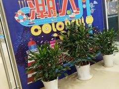 -天虹购物中心(石路店)