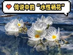 -丽江泸沽湖景区