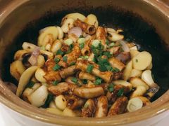 -金满楼(天河中路店)