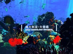 -中国西峡恐龙遗迹园