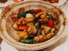 -陶缘一号·四季缘·老字号顺德菜·户外婚礼家宴(西滘店)