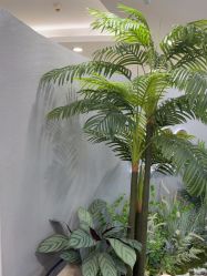 -八佰伴8008星级形象店