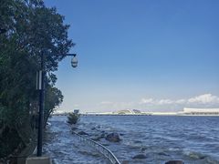 -上海吴淞炮台湾国家湿地公园