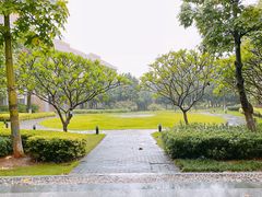 -厦门国家会计学院