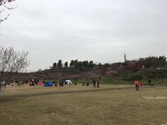 -秀丽东方