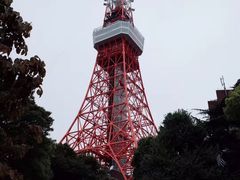 -东京塔海贼王主题公园