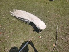 -苏州太湖西山岛开心农场