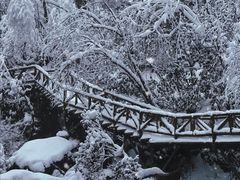 -龙苍沟森林公园