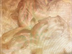 -高望村老王家(南光店)