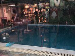 -Goku PET SHOP宠物视觉生活馆(双井店)