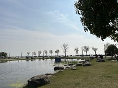 -滆湖低碳生态公园