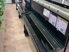 -盛世雅歌琴行·雅马哈钢琴专卖店·电钢琴城·钢琴培训(新辰里学清路店)