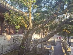 -阳明祠