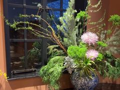 -滇野云南野生菌餐厅(陕西南路店)