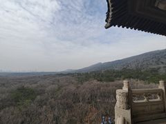 -灵谷景区