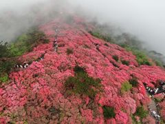 -木兰云雾山