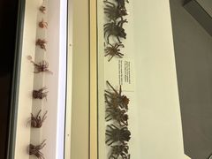 -墨尔本博物馆(Melbourne Museum)