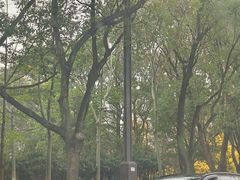-范蠡湖公园