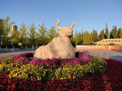 -永定河休闲森林公园