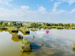 -盐城丹顶鹤湿地生态旅游区