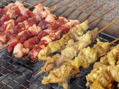 -吴淞炮台湾湿地森林公园烧烤区