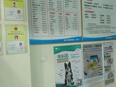 -爱贝特动物医院·猫口炎专科