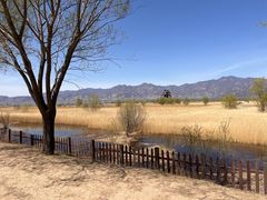 -野鸭湖国家湿地公园