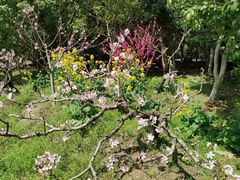 -南汇桃花村