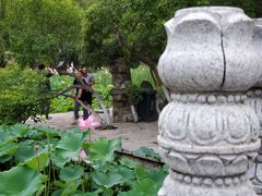 -莲湖公园
