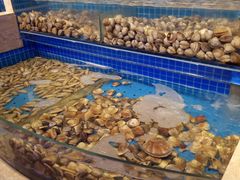 水产区-乔哥铭洋海鲜自助(皇城恒隆广场店)