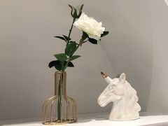-朵拉舞蹈·少儿舞蹈·成人舞蹈(百花校区)