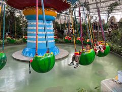 -南宫五洲植物乐园