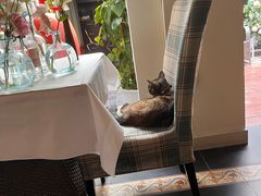 -EATALIA意塔利意式餐厅(鼓楼店)