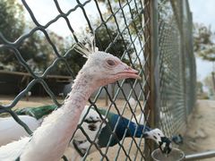 -宿豫区运河湾森林动物园