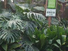 -龙达温泉生态城