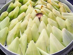-海窝子古镇
