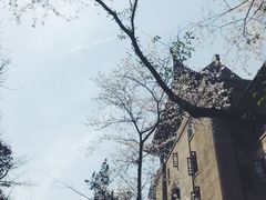 -武汉大学-樱园