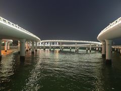 -演武大桥观景平台