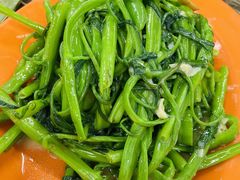 椒丝腐乳通菜-贞姨美食·老字号海鲜大排档