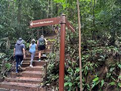 -武吉知马自然保护区