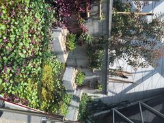 iphone_upload_pic-西安世博园