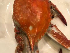 -金海湾海鲜排档(朱家尖店)