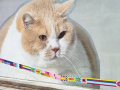 -方浜中路45弄小区