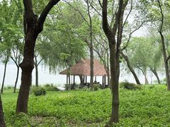 -高子水居