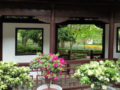 -汇龙潭