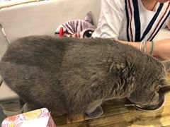 -小时光咖啡馆(开森度假森林店)