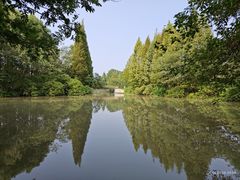 -桤木河湿地公园